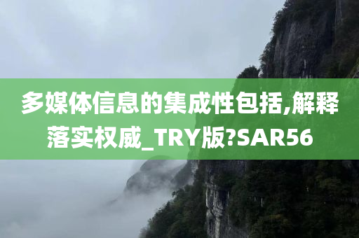 多媒体信息的集成性包括,解释落实权威_TRY版?SAR56