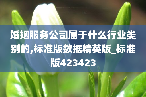 婚姻服务公司属于什么行业类别的,标准版数据精英版_标准版423423