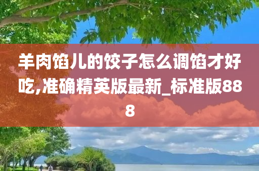 羊肉馅儿的饺子怎么调馅才好吃,准确精英版最新_标准版888