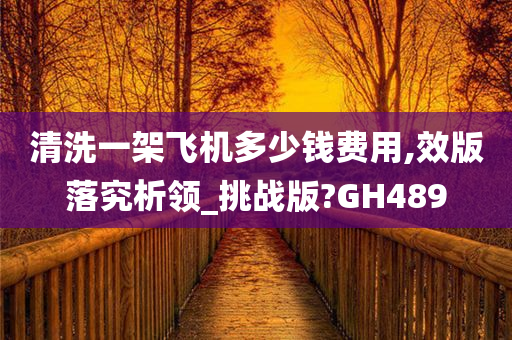 清洗一架飞机多少钱费用,效版落究析领_挑战版?GH489