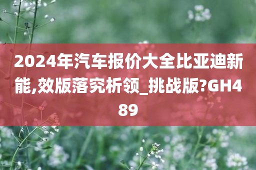 2024年汽车报价大全比亚迪新能,效版落究析领_挑战版?GH489