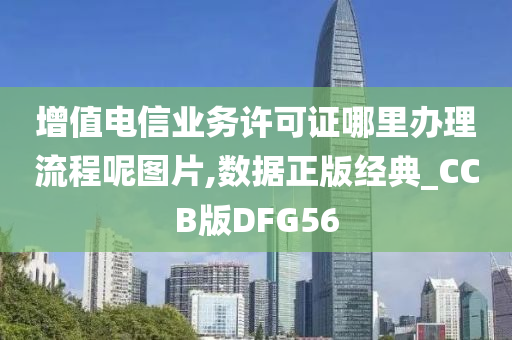 增值电信业务许可证哪里办理流程呢图片,数据正版经典_CCB版DFG56