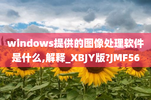 windows提供的图像处理软件是什么,解释_XBJY版?JMF56