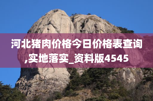 河北猪肉价格今日价格表查询,实地落实_资料版4545