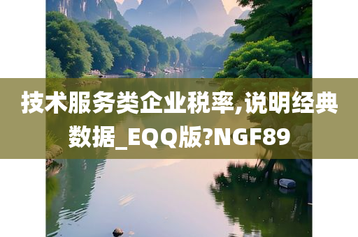 技术服务类企业税率,说明经典数据_EQQ版?NGF89