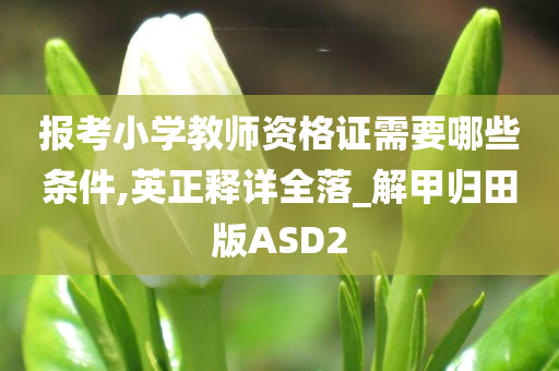 报考小学教师资格证需要哪些条件,英正释详全落_解甲归田版ASD2