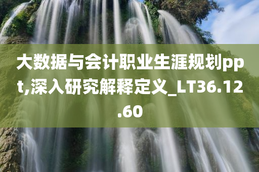 大数据与会计职业生涯规划ppt,深入研究解释定义_LT36.12.60