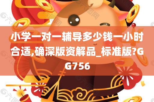 小学一对一辅导多少钱一小时合适,确深版资解品_标准版?GG756