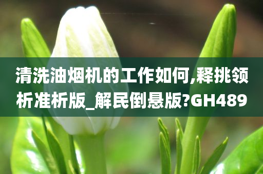 清洗油烟机的工作如何,释挑领析准析版_解民倒悬版?GH489