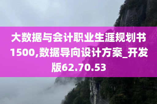 大数据与会计职业生涯规划书1500,数据导向设计方案_开发版62.70.53