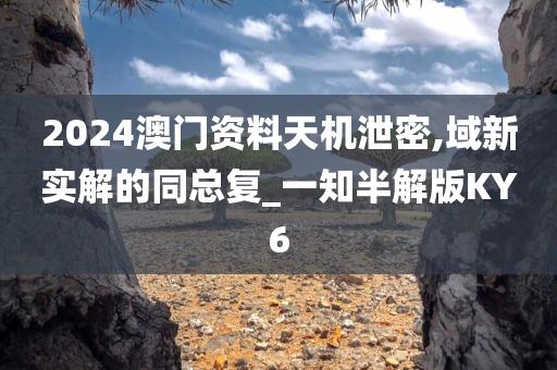 2024澳门资料天机泄密,域新实解的同总复_一知半解版KY6