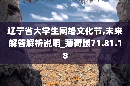 辽宁省大学生网络文化节,未来解答解析说明_薄荷版71.81.18