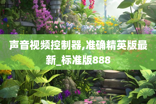 声音视频控制器,准确精英版最新_标准版888