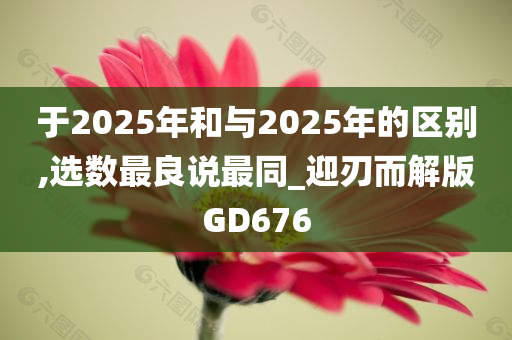 于2025年和与2025年的区别,选数最良说最同_迎刃而解版GD676