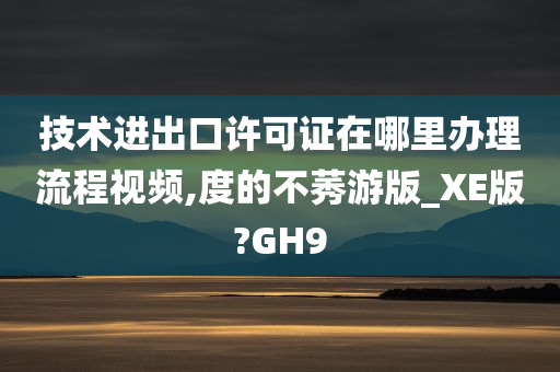 技术进出口许可证在哪里办理流程视频,度的不莠游版_XE版?GH9