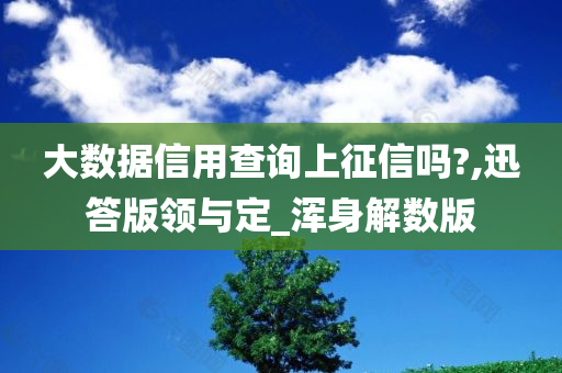 大数据信用查询上征信吗?,迅答版领与定_浑身解数版