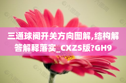 三通球阀开关方向图解,结构解答解释落实_CXZS版?GH9