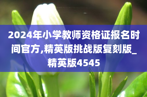 2024年小学教师资格证报名时间官方,精英版挑战版复刻版_精英版4545