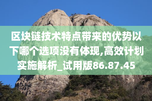 区块链技术特点带来的优势以下哪个选项没有体现,高效计划实施解析_试用版86.87.45