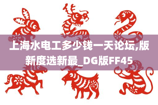 上海水电工多少钱一天论坛,版新度选新最_DG版FF45