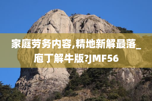 家庭劳务内容,精地新解最落_庖丁解牛版?JMF56