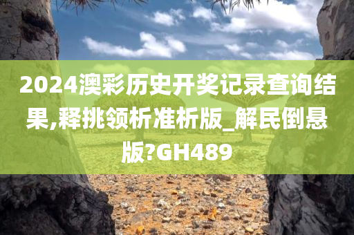 2024澳彩历史开奖记录查询结果,释挑领析准析版_解民倒悬版?GH489