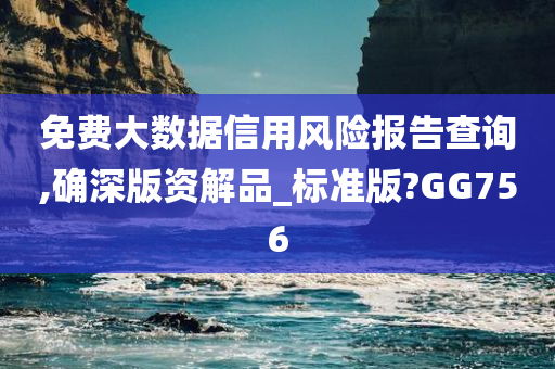 免费大数据信用风险报告查询,确深版资解品_标准版?GG756