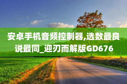 安卓手机音频控制器,选数最良说最同_迎刃而解版GD676