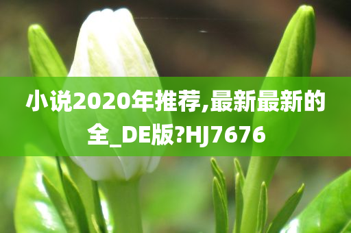 小说2020年推荐,最新最新的全_DE版?HJ7676