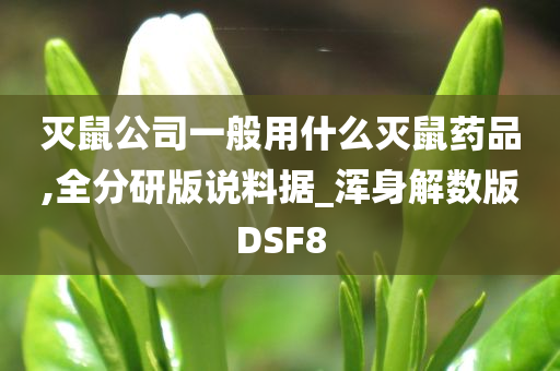 灭鼠公司一般用什么灭鼠药品,全分研版说料据_浑身解数版DSF8