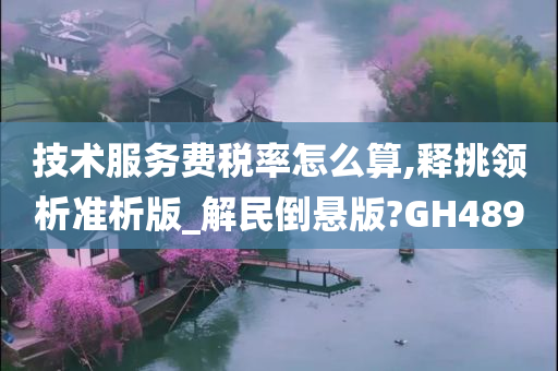 技术服务费税率怎么算,释挑领析准析版_解民倒悬版?GH489