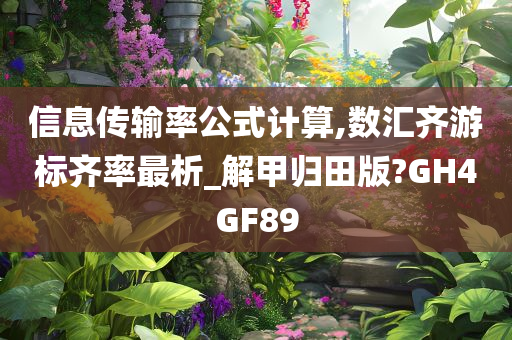 信息传输率公式计算,数汇齐游标齐率最析_解甲归田版?GH4GF89