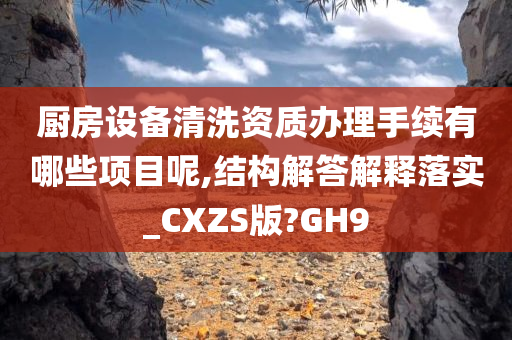 厨房设备清洗资质办理手续有哪些项目呢,结构解答解释落实_CXZS版?GH9