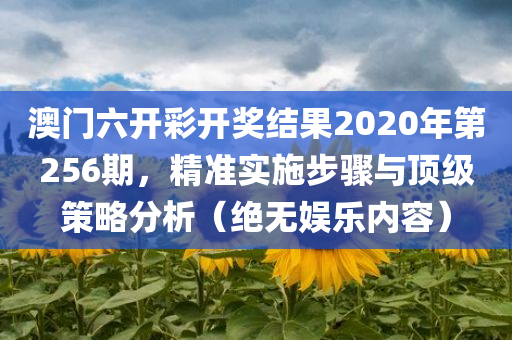 澳门六开彩开奖结果2020年第256期，精准实施步骤与顶级策略分析（绝无娱乐内容）