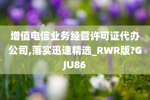 增值电信业务经营许可证代办公司,落实迅速精选_RWR版?GJU86