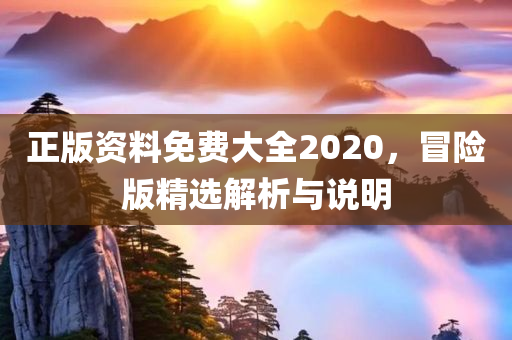 正版资料免费大全2020，冒险版精选解析与说明