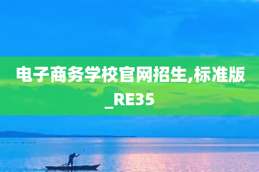 电子商务学校官网招生,标准版_RE35