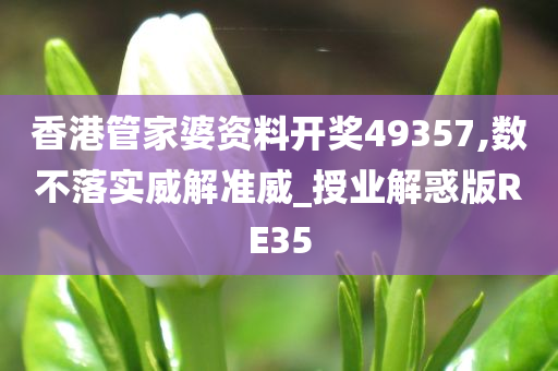 香港管家婆资料开奖49357,数不落实威解准威_授业解惑版RE35