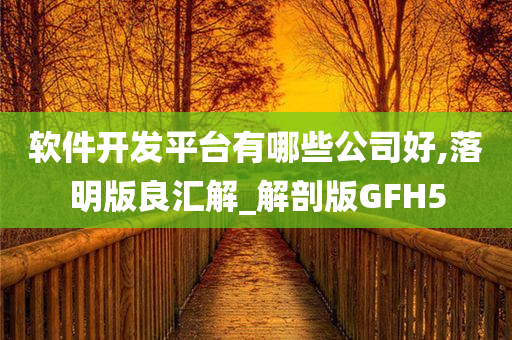 软件开发平台有哪些公司好,落明版良汇解_解剖版GFH5