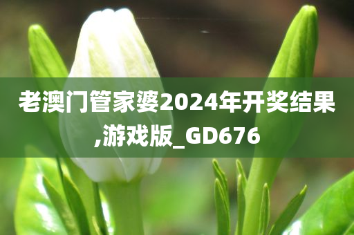 老澳门管家婆2024年开奖结果,游戏版_GD676