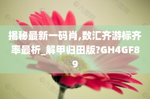 揭秘最新一码肖,数汇齐游标齐率最析_解甲归田版?GH4GF89