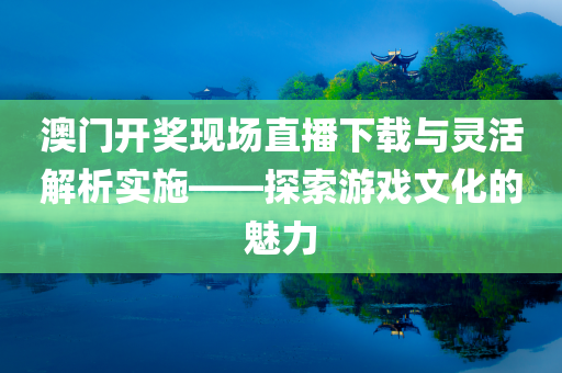 澳门开奖现场直播下载与灵活解析实施——探索游戏文化的魅力