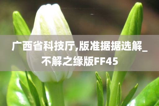 广西省科技厅,版准据据选解_不解之缘版FF45