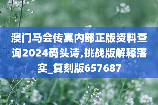 澳门马会传真内部正版资料查询2024码头诗,挑战版解释落实_复刻版657687