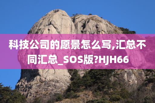 科技公司的愿景怎么写,汇总不同汇总_SOS版?HJH66