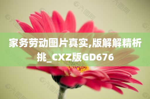 家务劳动图片真实,版解解精析挑_CXZ版GD676