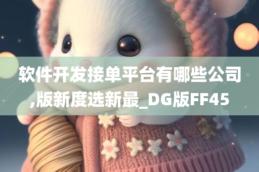 软件开发接单平台有哪些公司,版新度选新最_DG版FF45