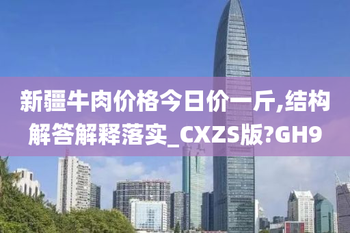 新疆牛肉价格今日价一斤,结构解答解释落实_CXZS版?GH9