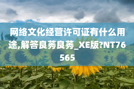 网络文化经营许可证有什么用途,解答良莠良莠_XE版?NT76565