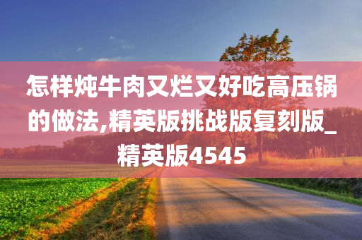 怎样炖牛肉又烂又好吃高压锅的做法,精英版挑战版复刻版_精英版4545